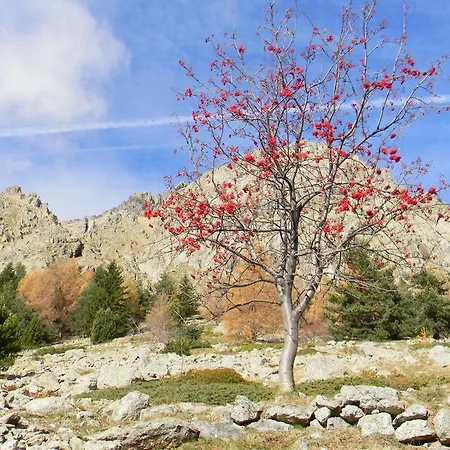 Maison d'hôtes D'hôtes Les Murès Du Mercantour